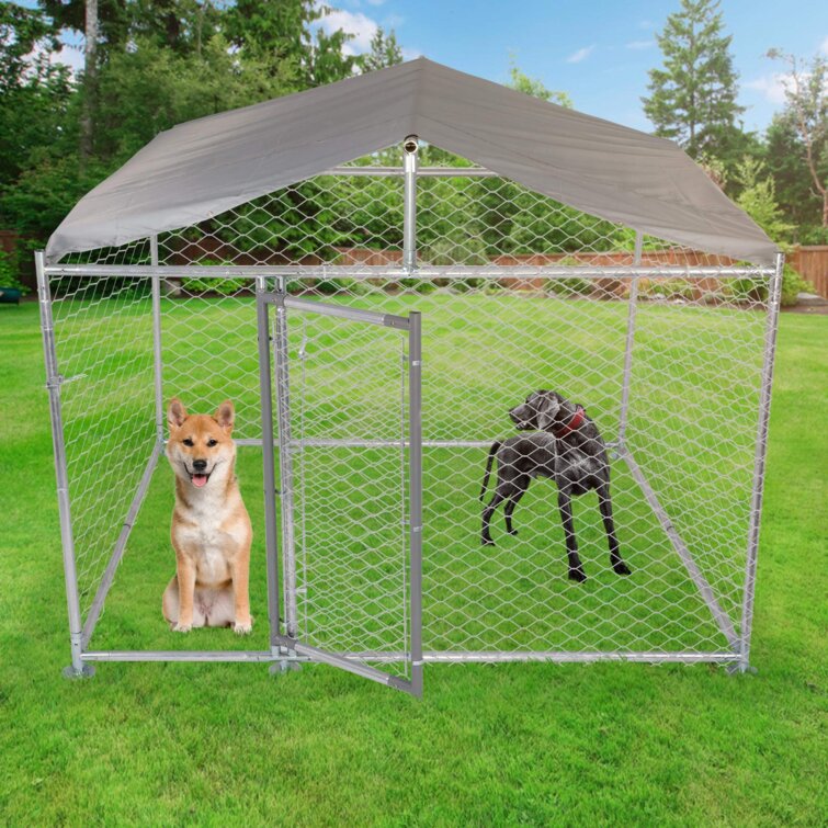 Arielle 4 dog outlet galvanized steel yard kennel